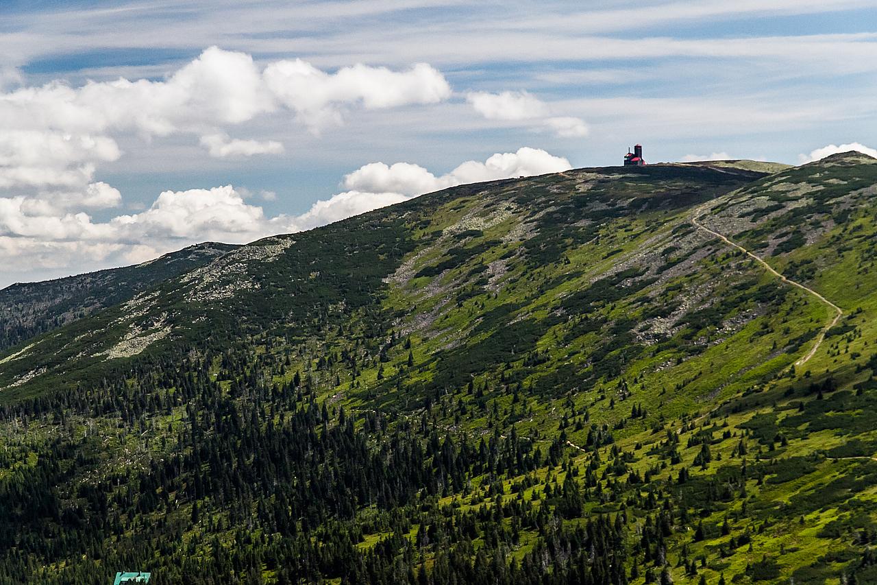 Przyroda w karkonoszach