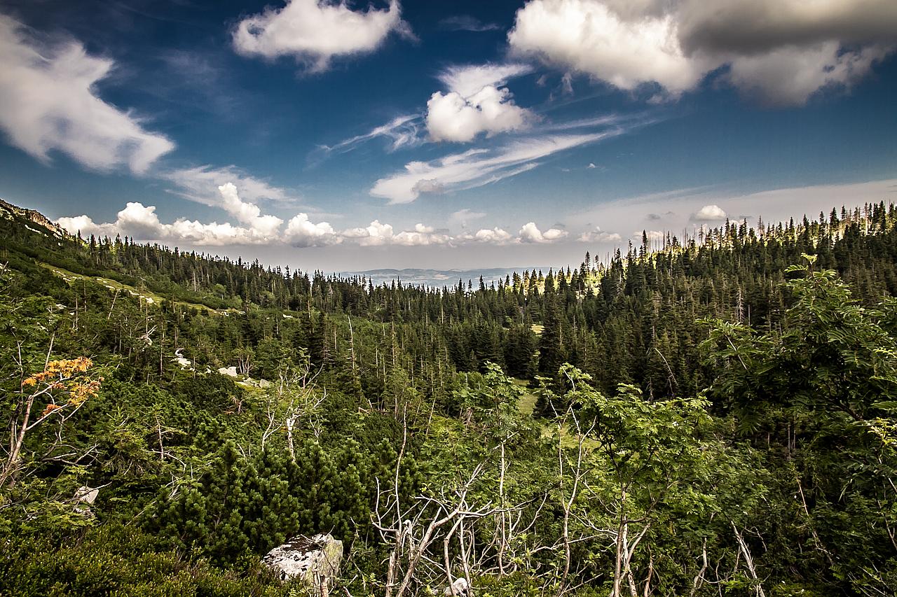 Przyroda w karkonoszach