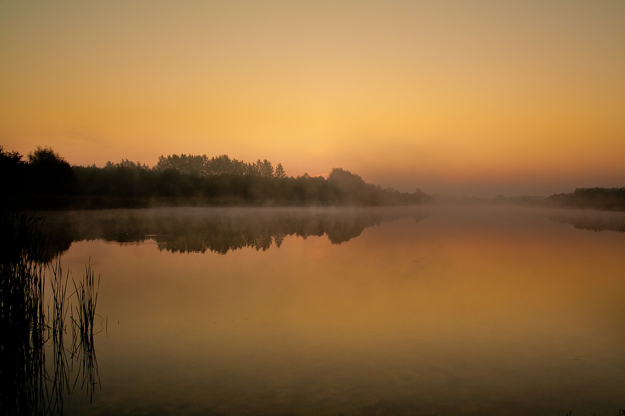 Fotografia przyrodnicza turek