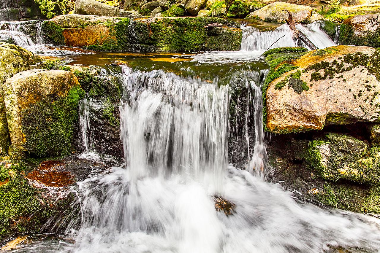 Przyroda w karkonoszach