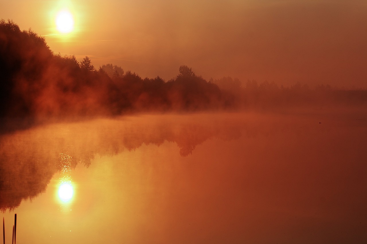 Fotografia przyrodnicza turek