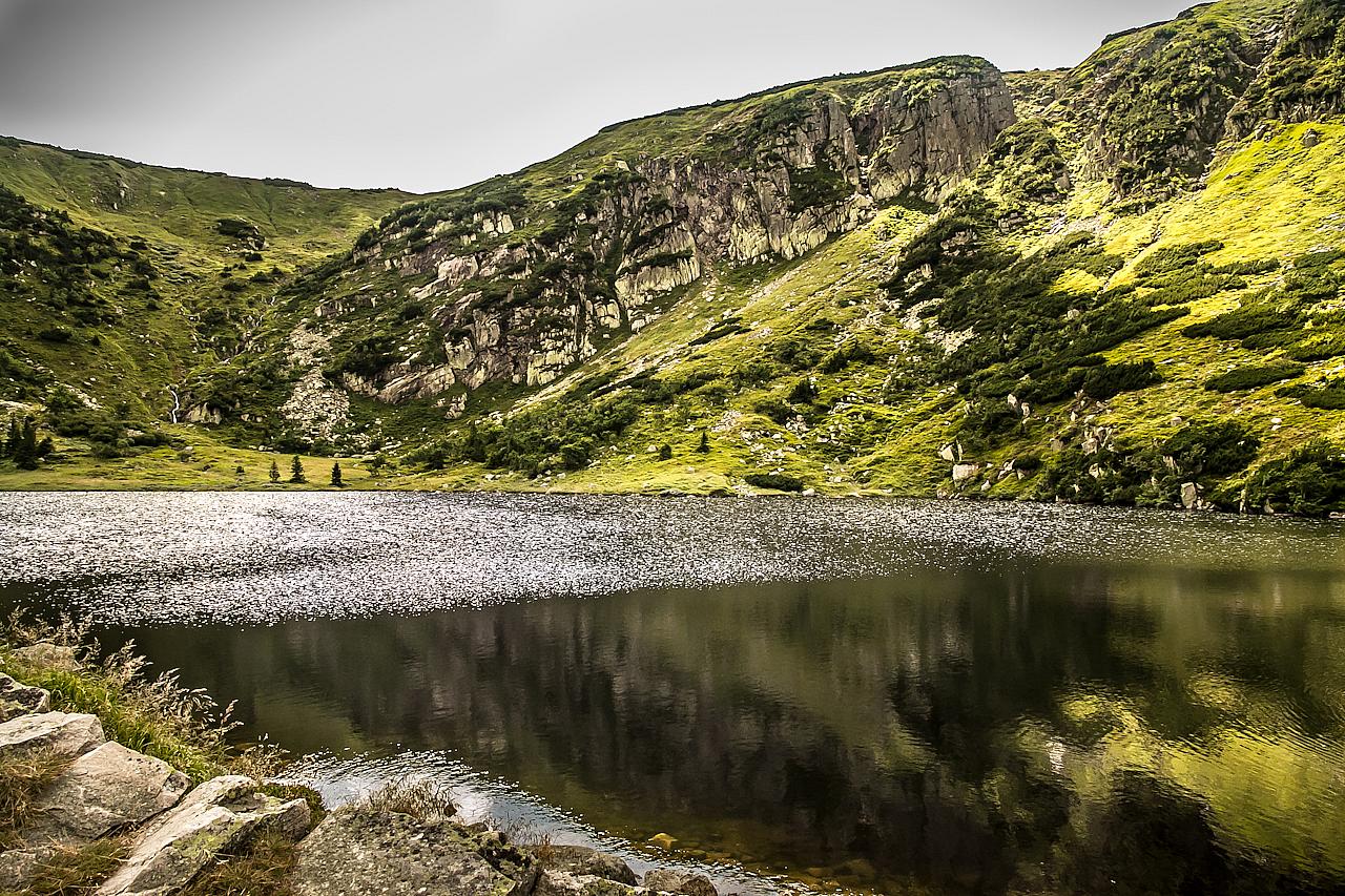 Przyroda w karkonoszach