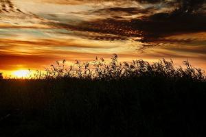 Fotografia ślubna Turek Konin Koło Kalisz i okolice