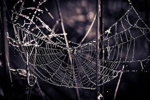 Fotografia ślubna Turek Konin Koło Kalisz i okolice