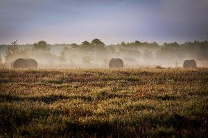 Fotografia ślubna Turek Konin Koło Kalisz i okolice