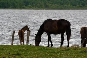 Fotografia ślubna Turek Konin Koło Kalisz i okolice