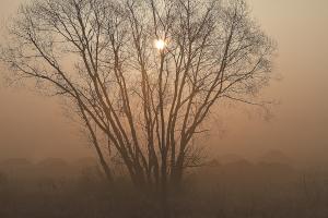 Fotografia ślubna Turek Konin Koło Kalisz i okolice