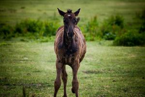 Fotografia ślubna Turek Konin Koło Kalisz i okolice