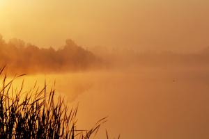 Fotografia ślubna Turek Konin Koło Kalisz i okolice