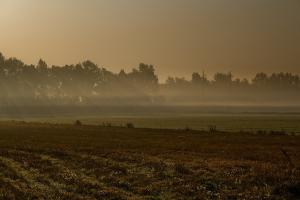 Fotografia ślubna Turek Konin Koło Kalisz i okolice